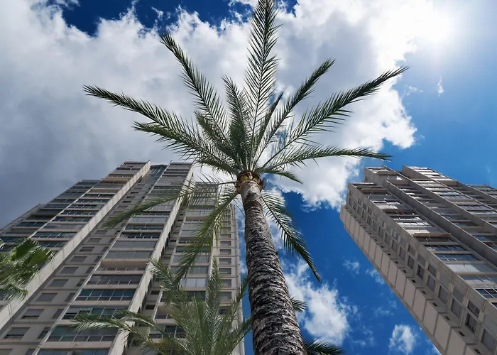 Gemelos 20 - Beninter Hotel Benidorm