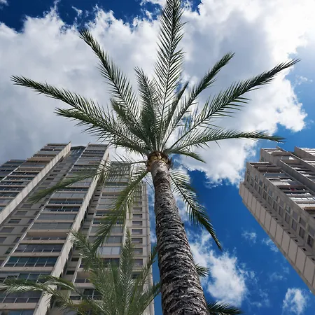 Gemelos 20 - Beninter Szálloda Benidorm